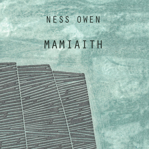 TALKING TO AUTHOR AND TRANSLATOR: NESS OWEN AND SIAN NORTHEY ON MAMIAITH