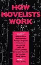 How Novelists Work