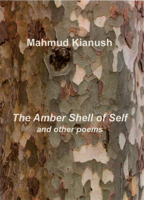 The Amber Shell of Self and Other Poems