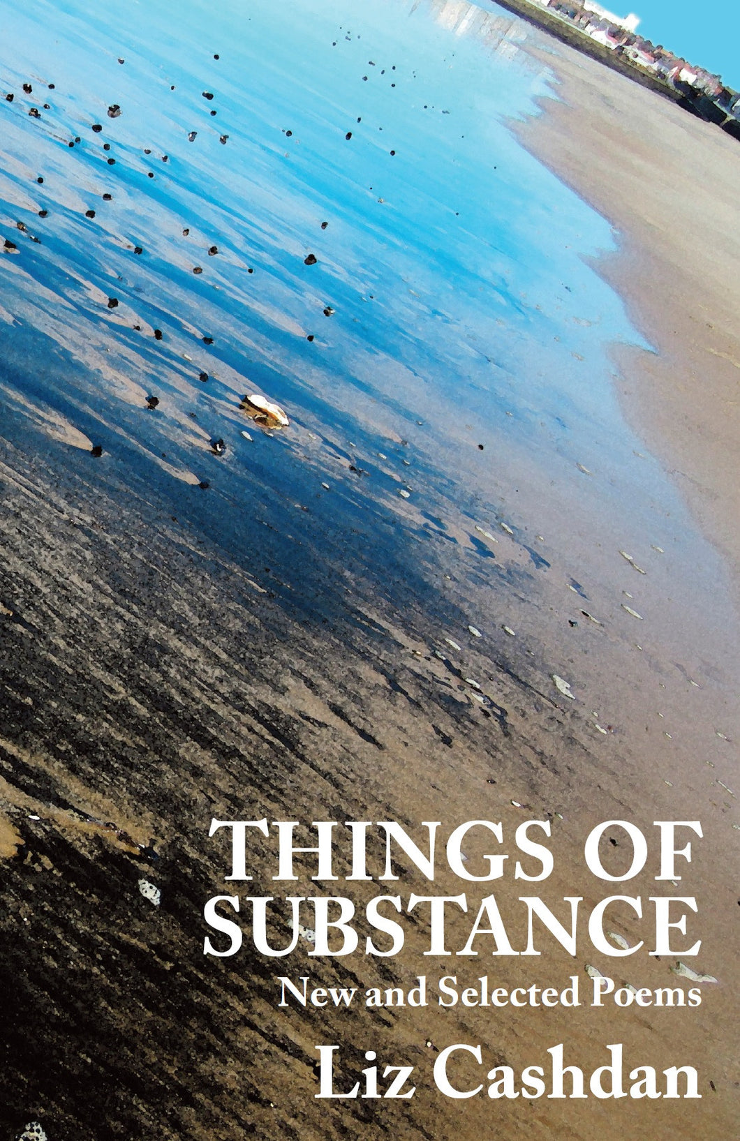 Things of Substance: New & Selected Poems