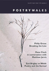 Poetry Wales - Two-Year Subscription