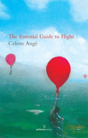 The Essential Guide to Flight
