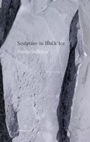 Sculpture in Black Ice