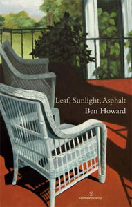 Leaf, Sunlight, Asphalt