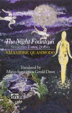 The Night Fountain