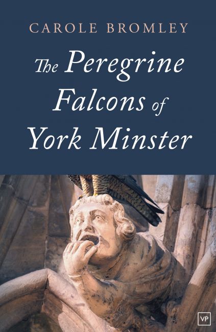 The Peregrine Falcons of York Minster