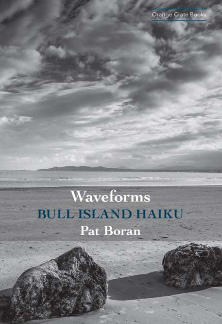 Waveforms: Bull Island Haiku