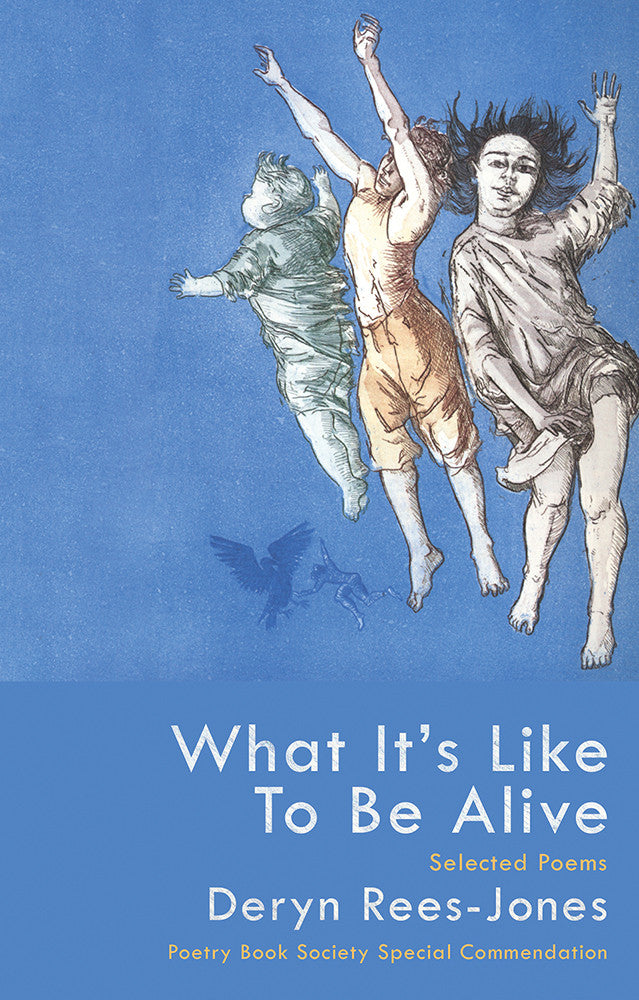 What it's Like to Be Alive: Selected Poems
