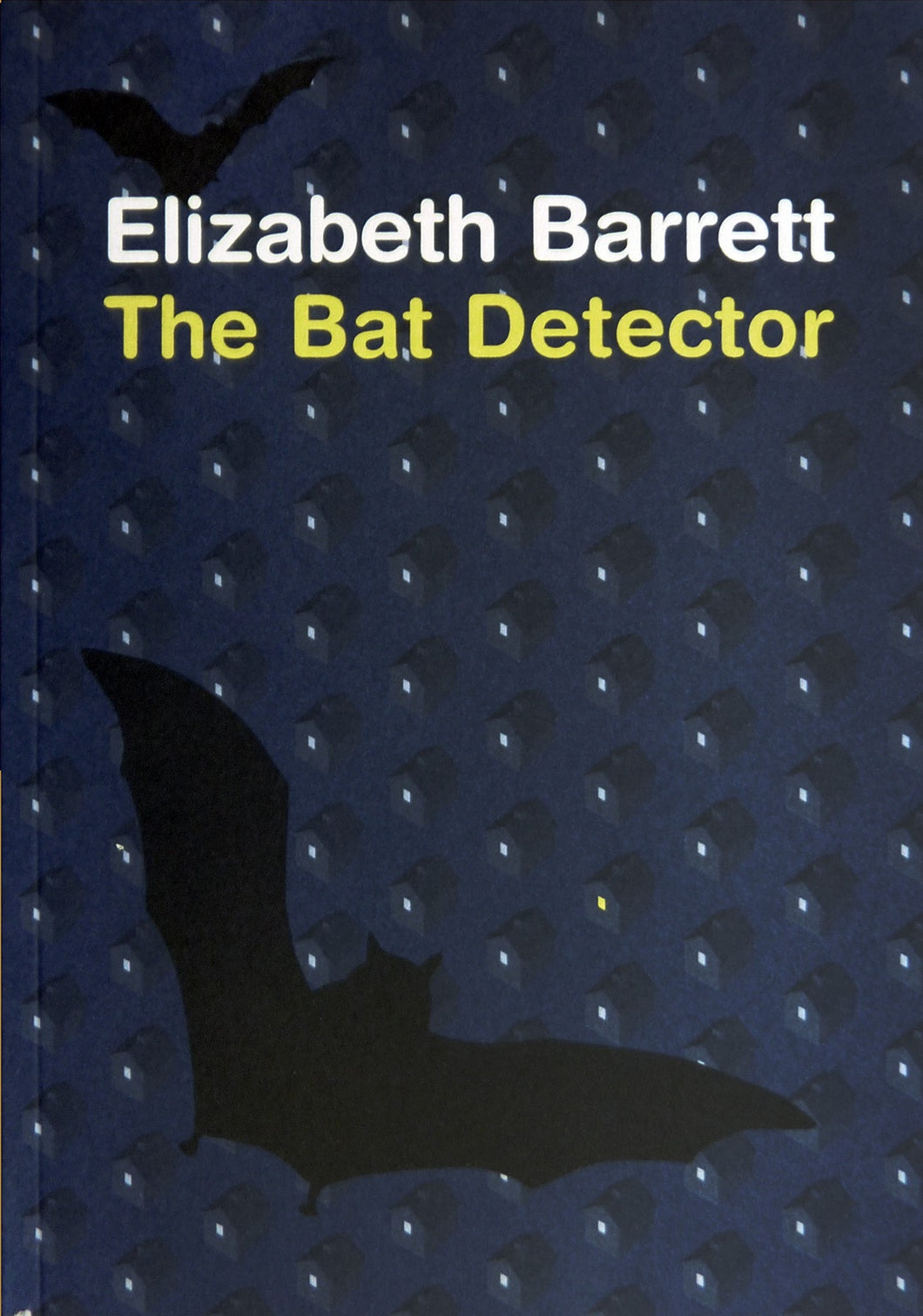 The Bat Detector