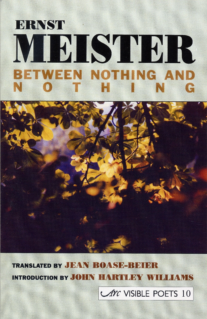 Between Nothing and Nothing: Selected Poems