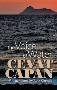 The Voice of Water