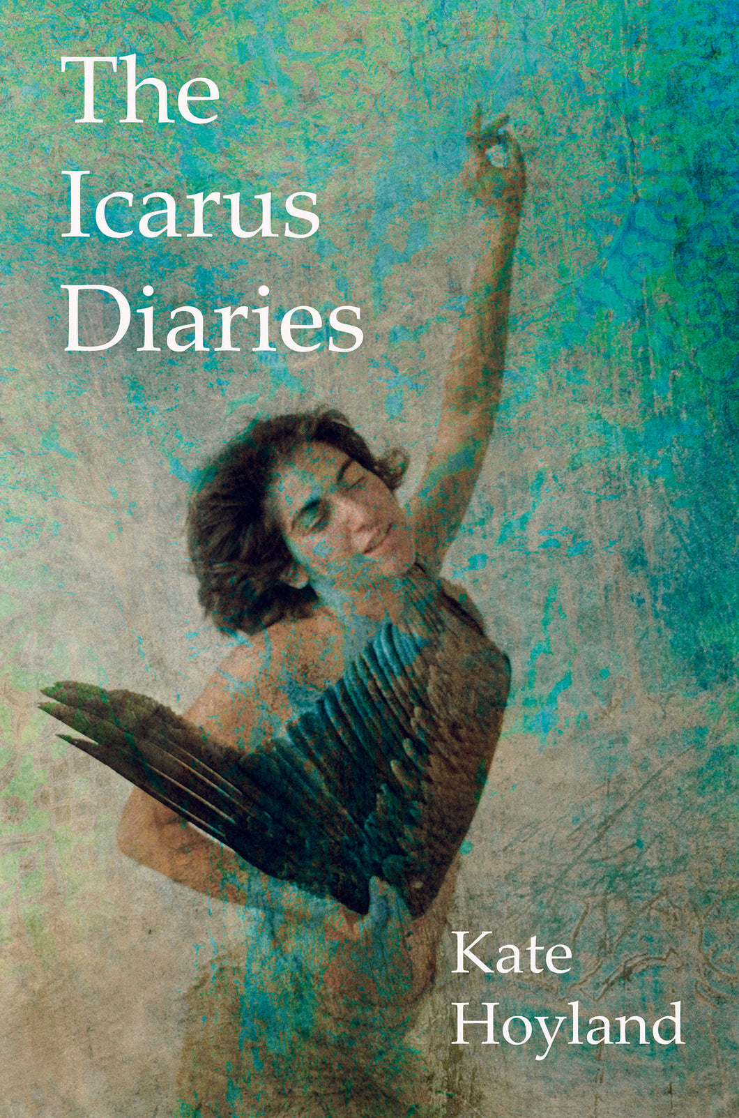 The Icarus Diaries
