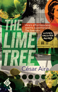 The Lime Tree