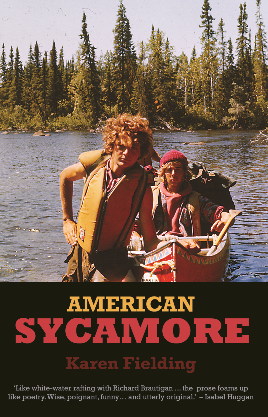American Sycamore