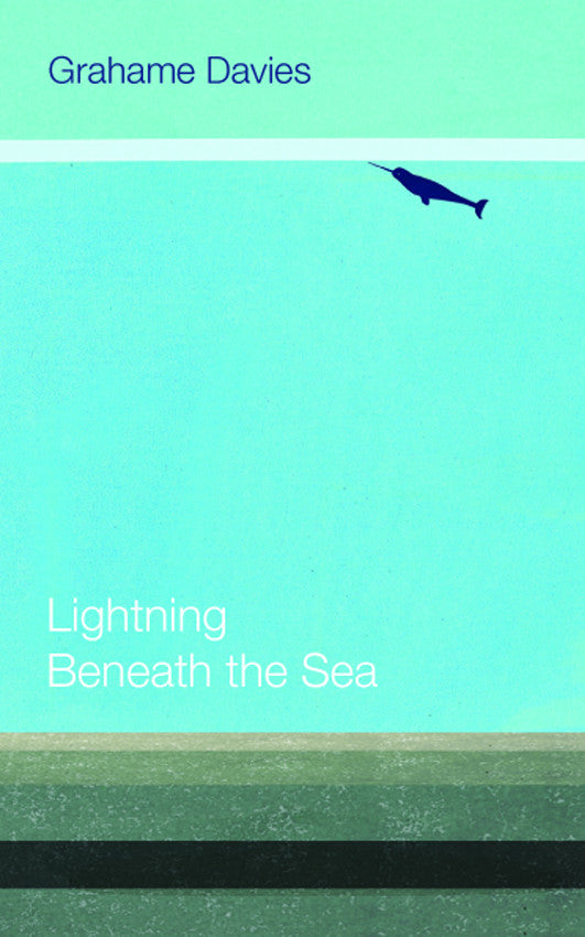 Lightning Beneath the Sea