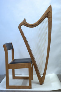 The Harp in Wales