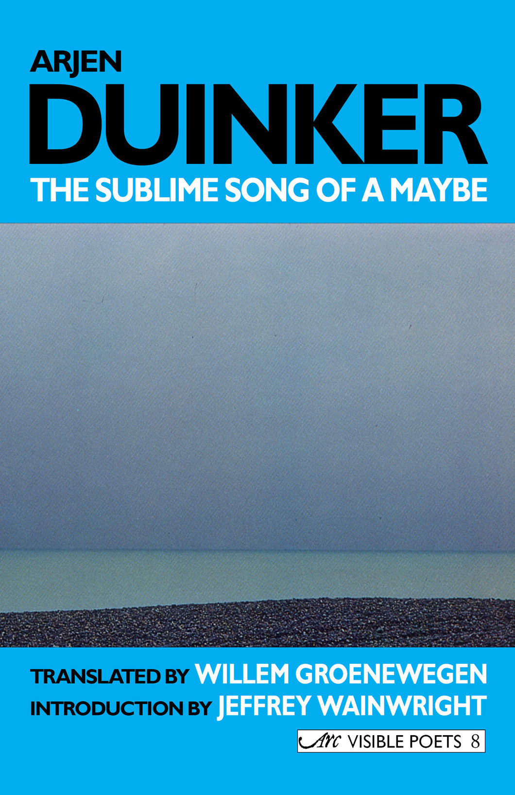 The Sublime Song of a Maybe: Selected Poems