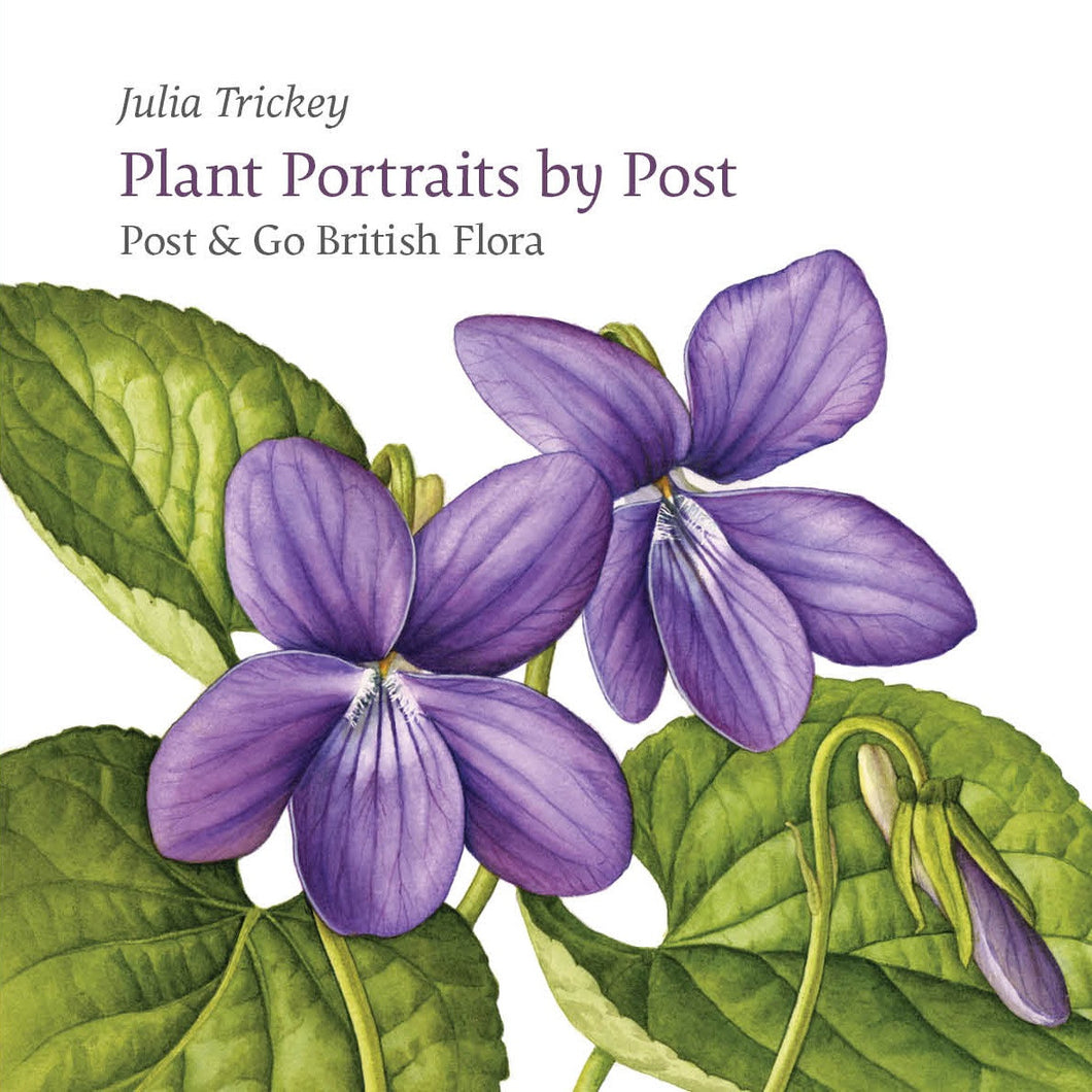 Plant Portraits by Post